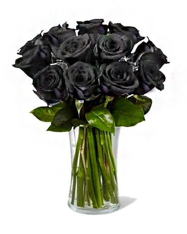 12 black rose
