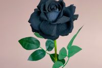 Meaning of Black Roses