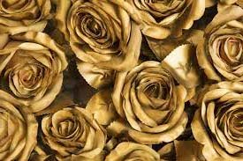 Gold Roses Mean