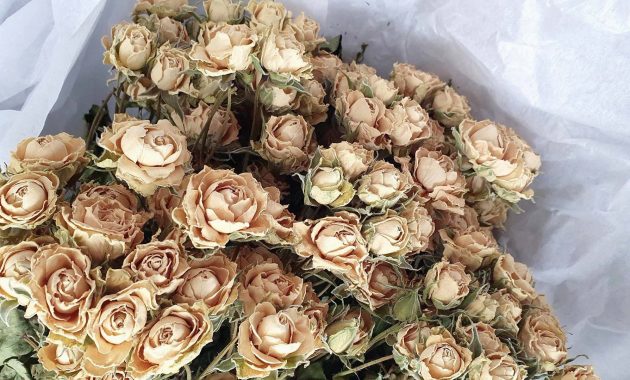 Meaning of Dried White Roses
