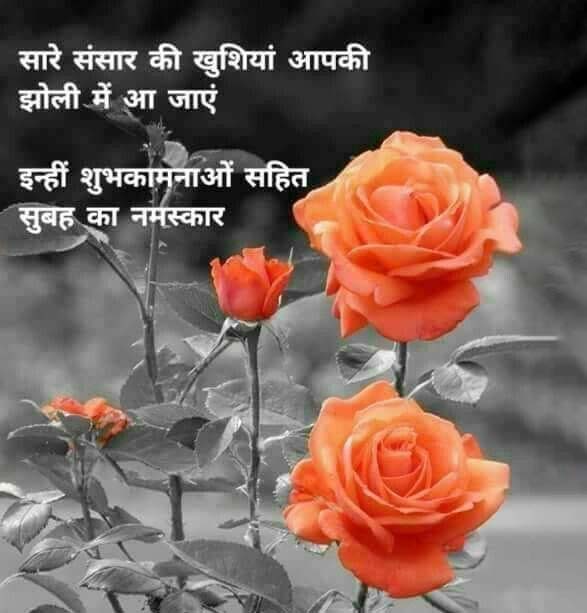 Orange rose Meaning Hindi