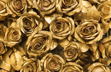The Meaning of Gold Roses