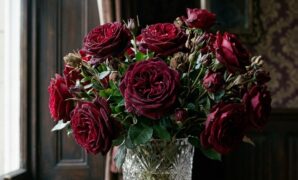 burgundy-rose-meaning-passion-beauty-victorian-16x9-1 Burgundy Rose Meaning, Passion, and Victorian Floral Symbolism