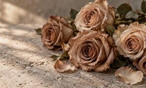 Coffee Mocha Rose Meaning: Earthy Sophistication, Modern Luxury, and Warmth