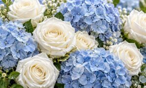 rose_pairing-roses-with-blue-hydrangeas-contr_16x9 Pairing Roses with Blue Hydrangeas: Volume, Gratitude, and Striking Contrast