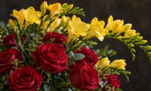 rose_pairing-roses-with-freesia-innocence-fri_16x9 Pairing Roses with Freesia: Innocence, Friendship, and Citrus-Peppery Scent