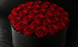 33 Roses Meaning: I Love You with Great Passion and Overflowing Heart