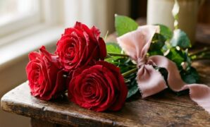 Three roses meaning symbolism and romantic floral gifting guide